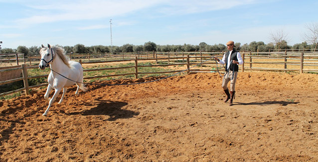 Sergio Ramos compartiendo una jornada con uno de sus caballos