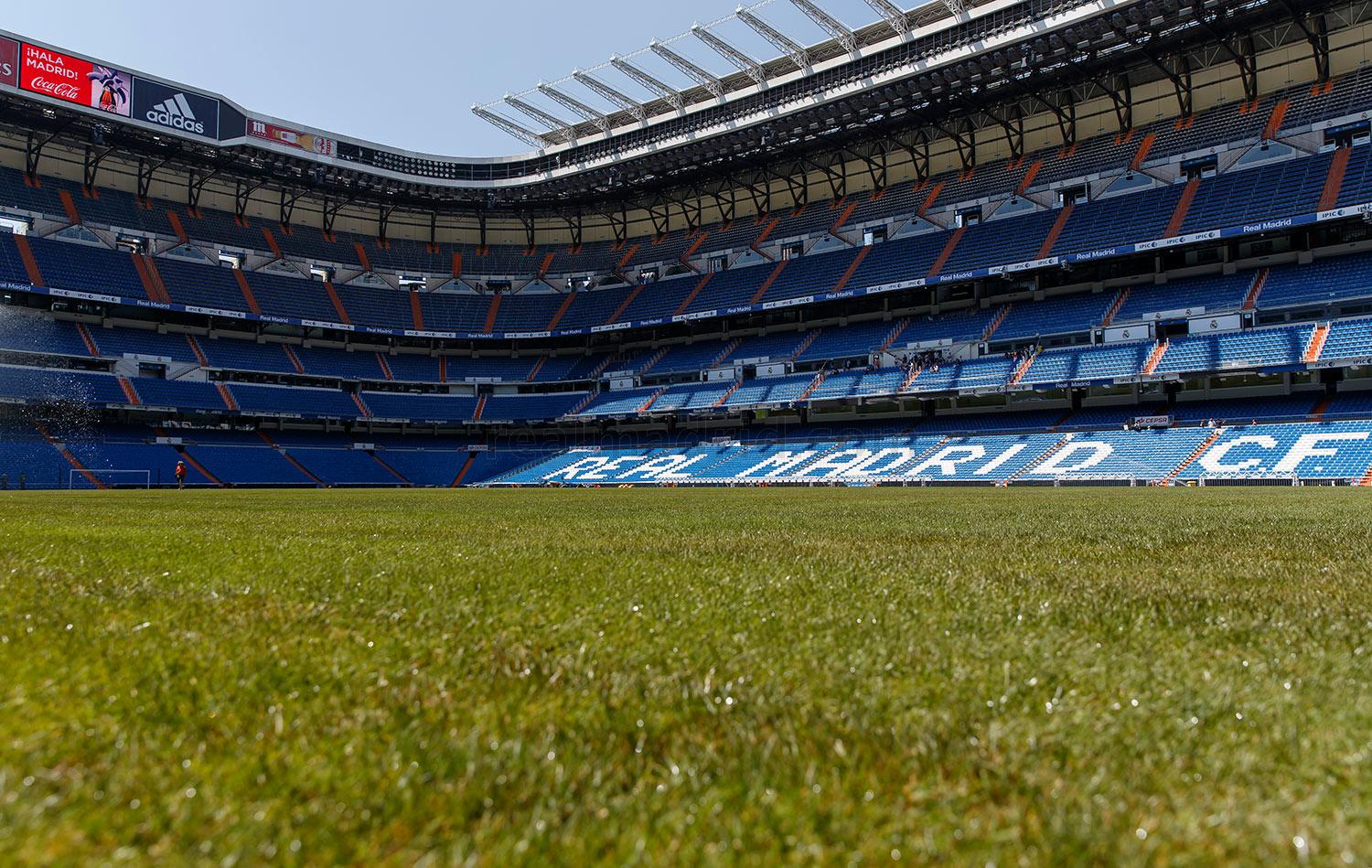 Césped, Santiago Bernabéu, Real Madrid