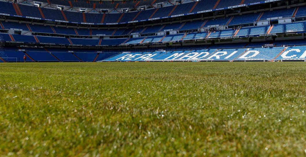 Césped, Santiago Bernabéu, Real Madrid