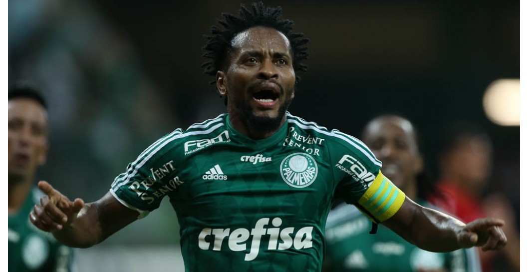 Zé Roberto, Palmeiras