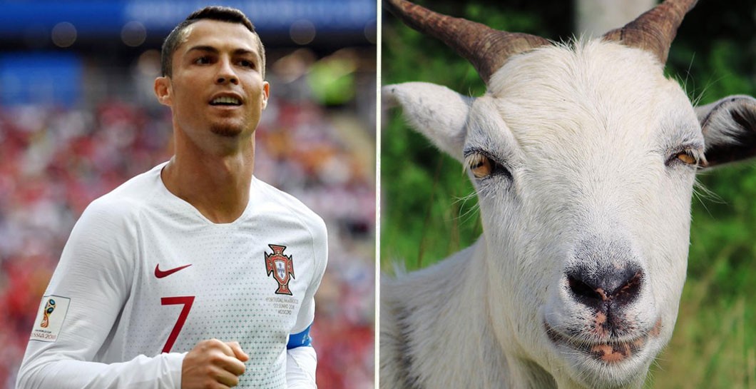 Cristiano Ronaldo y una cabra