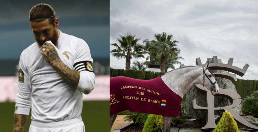 Fotoeléctrico martes Lionel Green Street La Razón': Sergio Ramos aprovechó su lesión para comprarse un caballo  valorado en 1,5 millones | Defensa Central